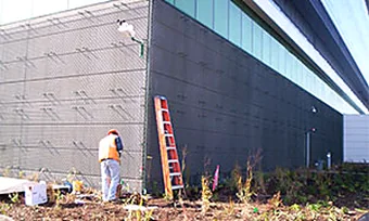 A worker at the base of a commercial building wall, an extension ladder leaning beside him
